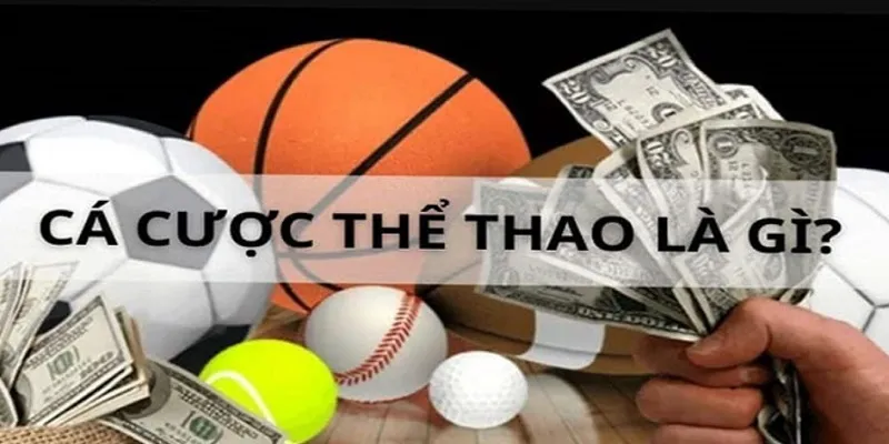 Thông tin về cá cược thể thao là gì?